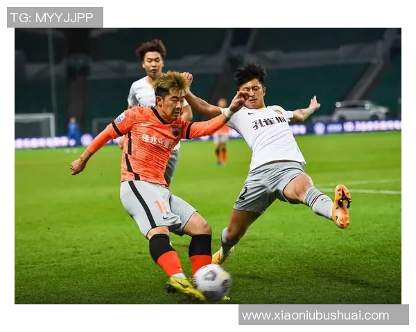 深圳足球队技术实力飙升创造历史新高引发广泛关注