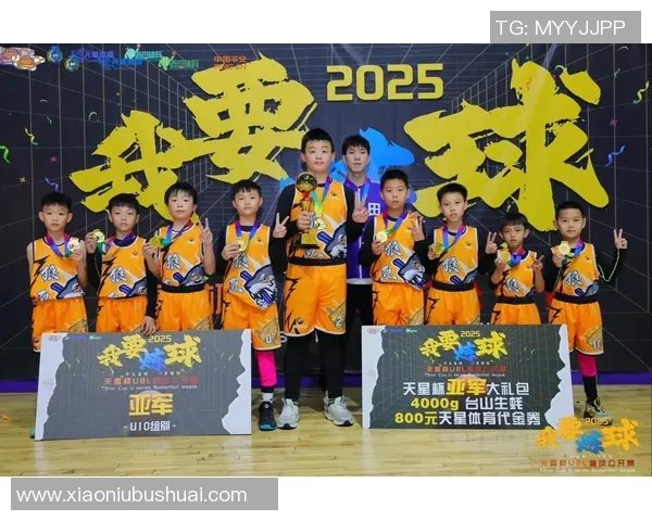 城市篮球的拼搏之路：北京队在联赛中的荣耀与挑战